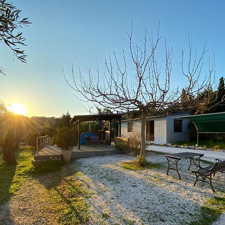 Olive Grove Pension Anavyssos Buitenkant foto