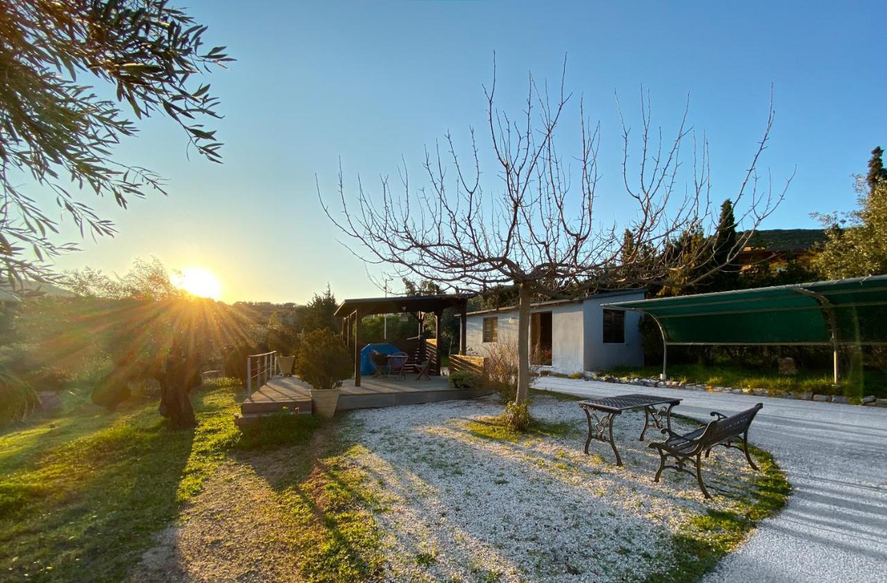 Olive Grove Pension Anavyssos Buitenkant foto