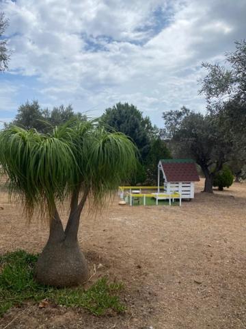 Olive Grove Pension Anavyssos Buitenkant foto